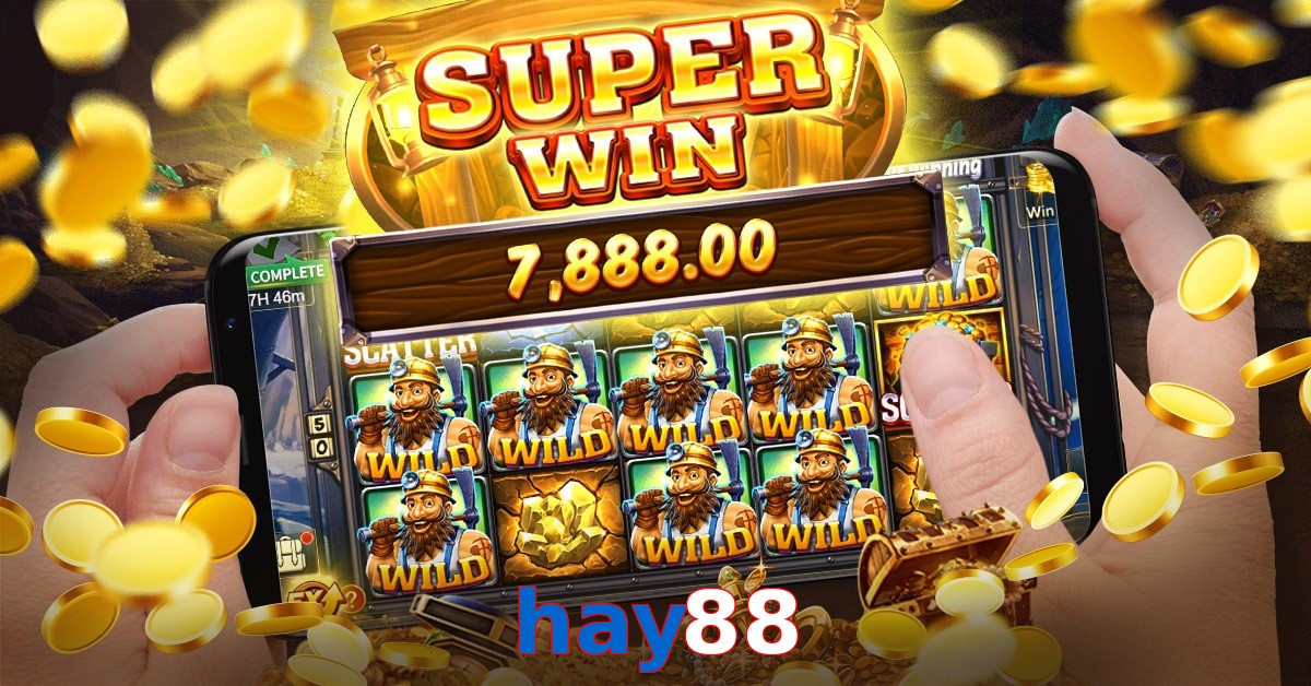 hay88