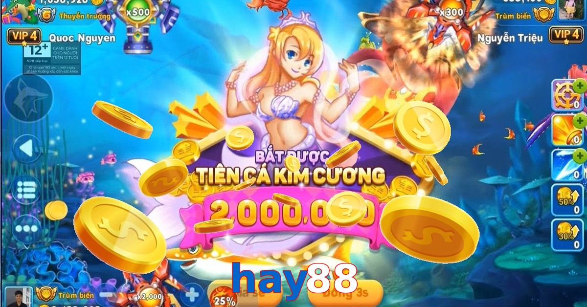 hay88