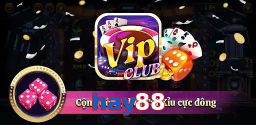 hay88