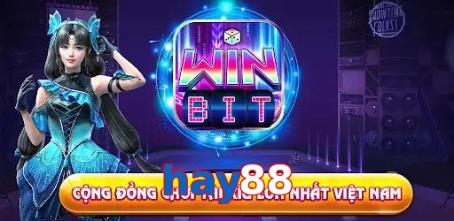 hay88