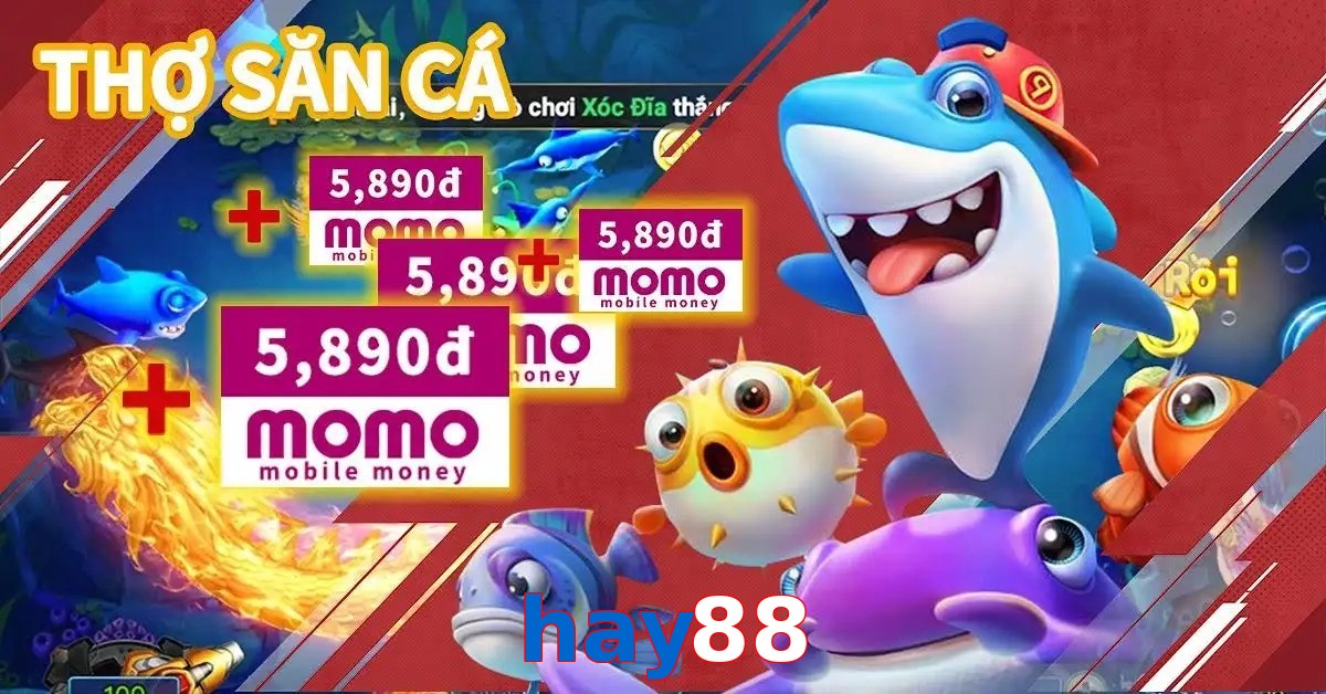 hay88