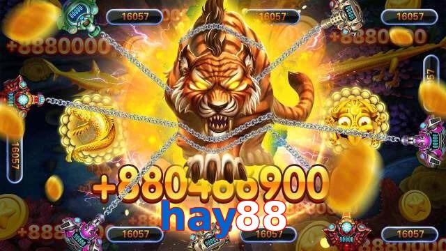 hay88