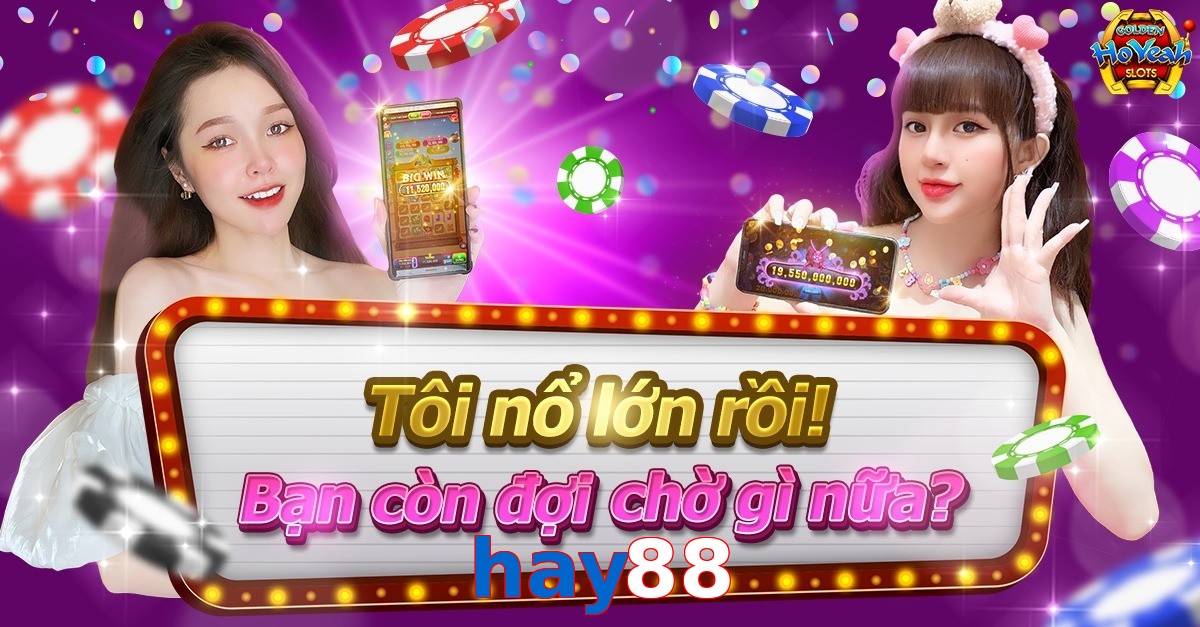 hay88