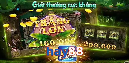 hay88