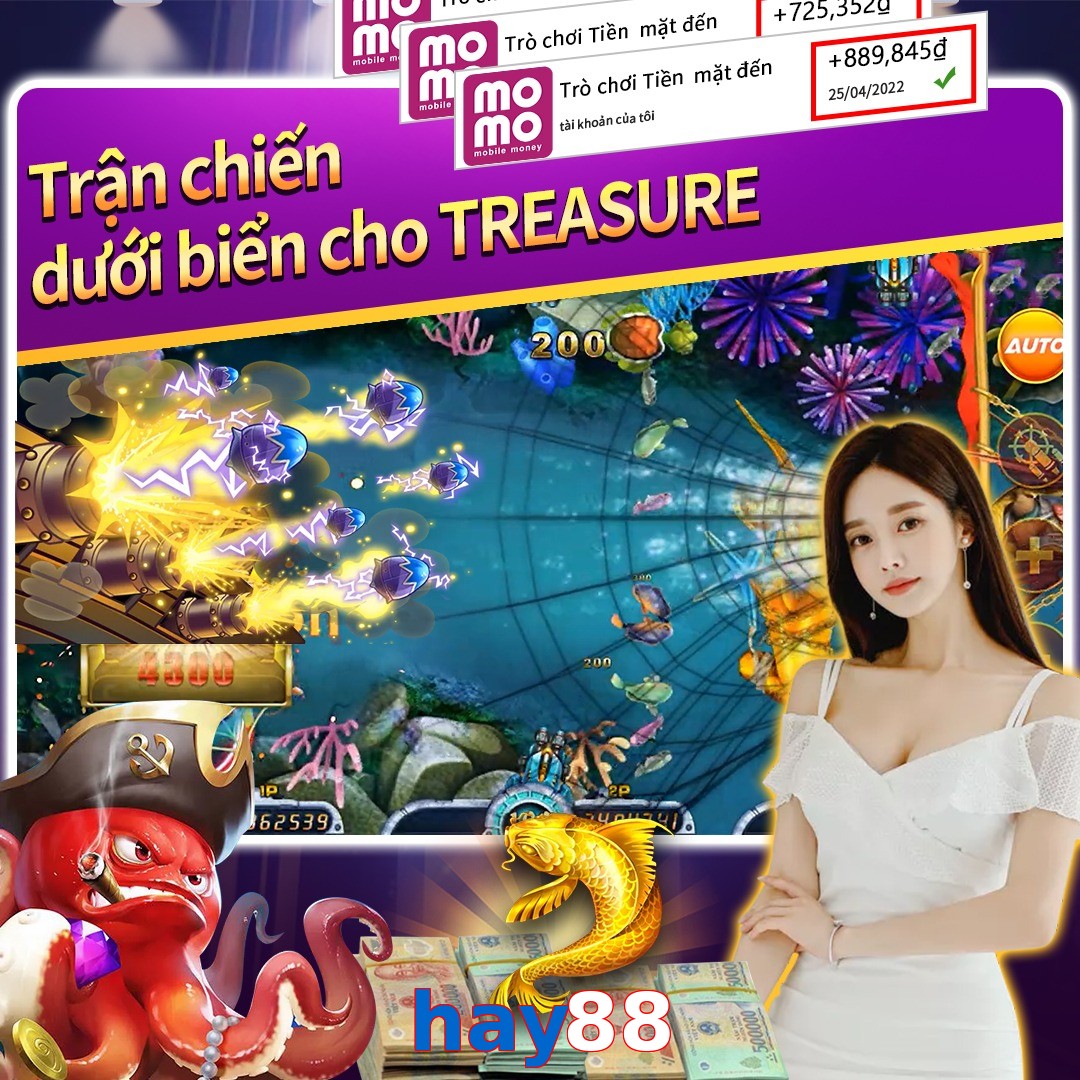 hay88